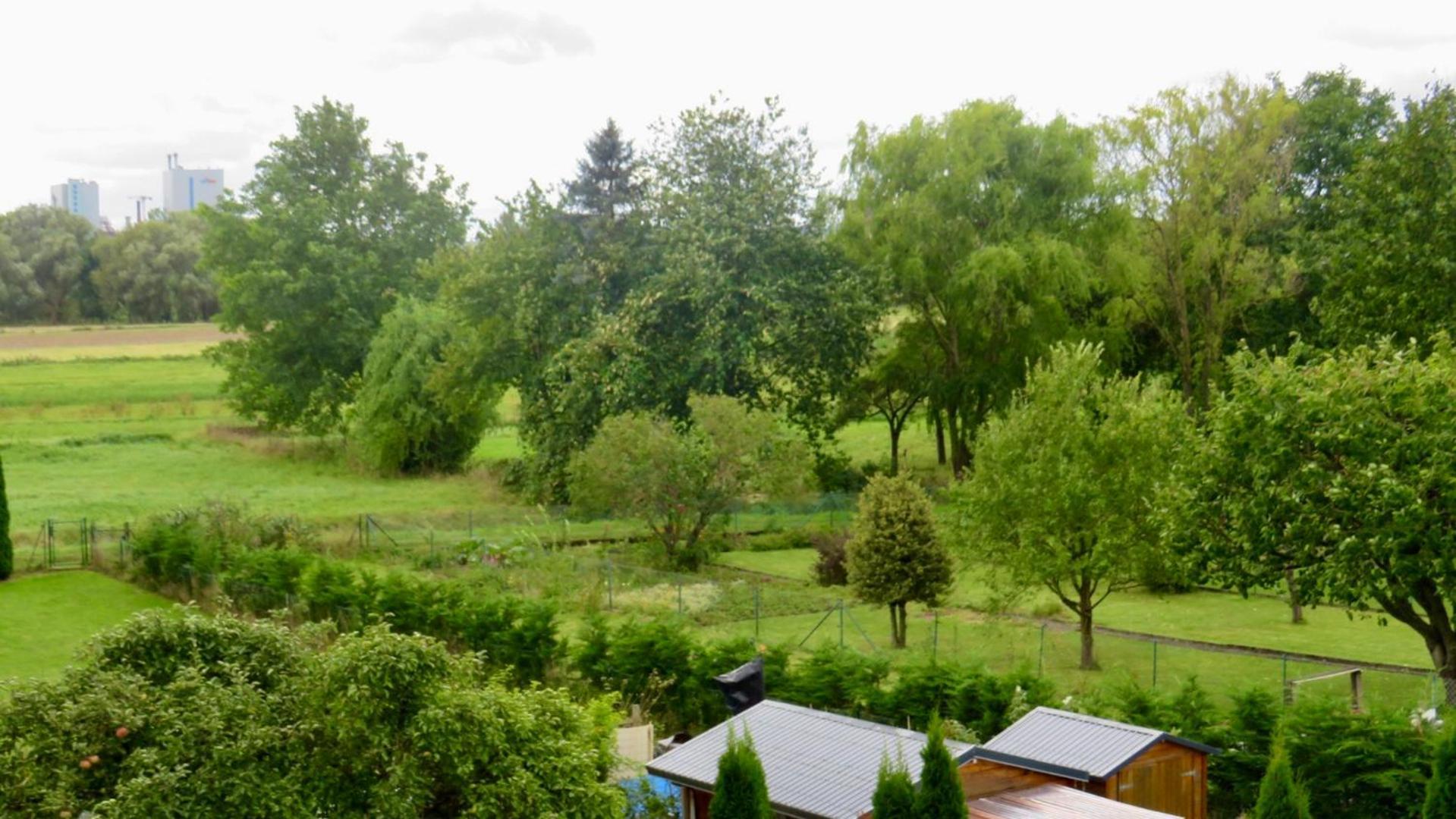 Don Quijote Ferienwohnung Kassel Buitenkant foto